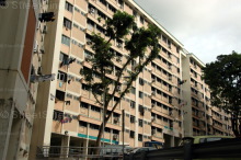 Blk 213 Petir Road (Bukit Panjang), HDB 5 Rooms #221582